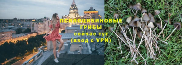 герыч Магас