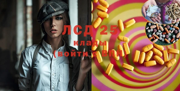 дживик Мегион