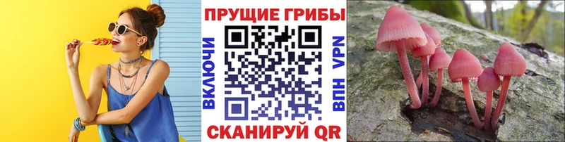 Галлюциногенные грибы MAGIC MUSHROOMS  наркота  Лукоянов 